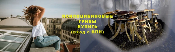 стафф Елабуга