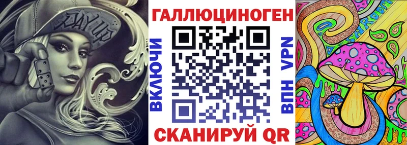 где найти   Никольское  Галлюциногенные грибы Psilocybe 
